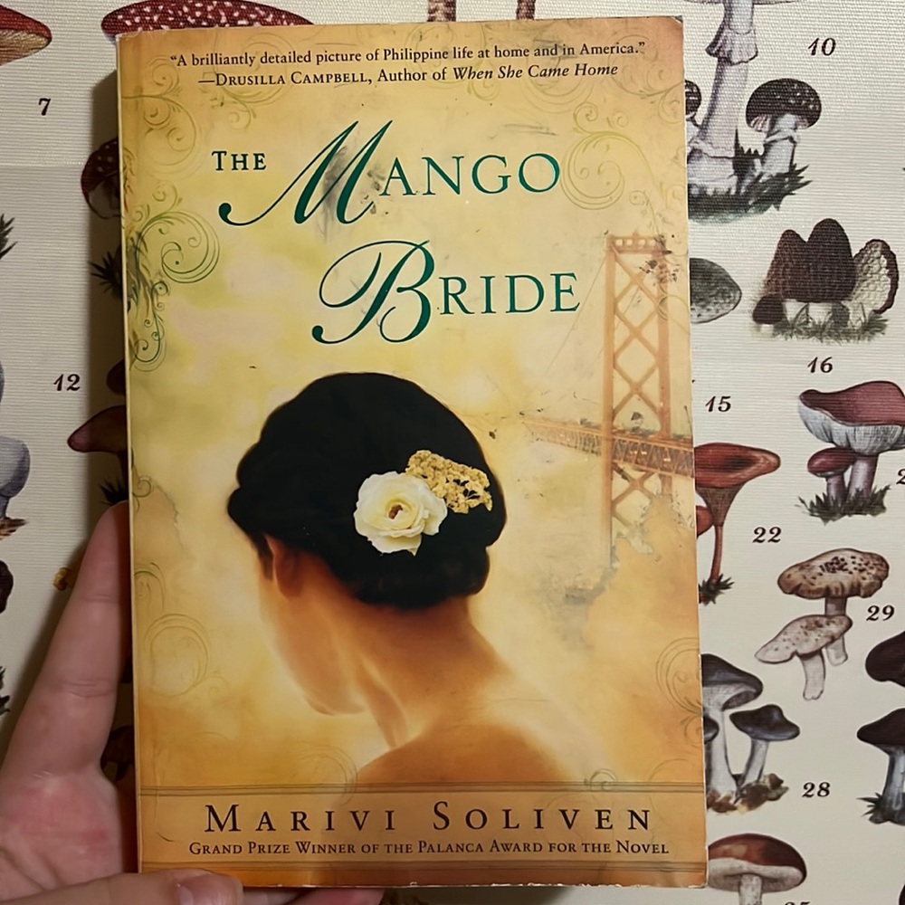 the mango bride book